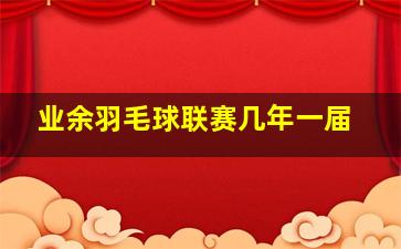 业余羽毛球联赛几年一届