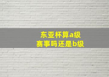 东亚杯算a级赛事吗还是b级