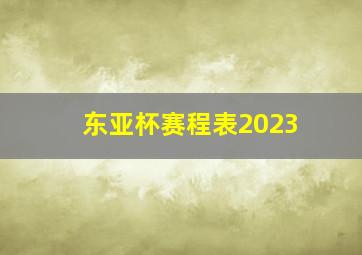 东亚杯赛程表2023