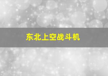 东北上空战斗机