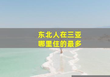 东北人在三亚哪里住的最多