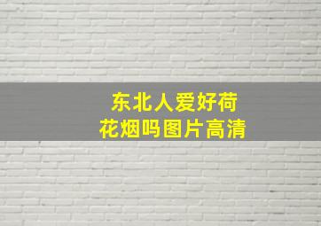 东北人爱好荷花烟吗图片高清