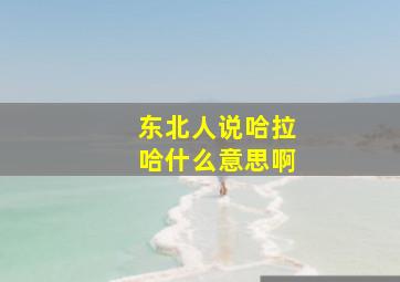 东北人说哈拉哈什么意思啊