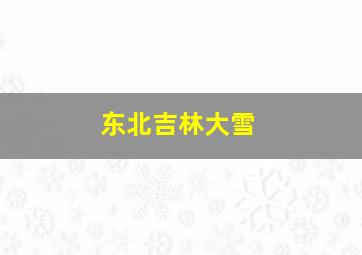 东北吉林大雪