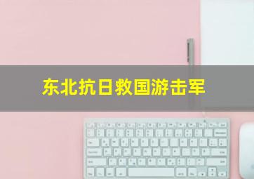 东北抗日救国游击军