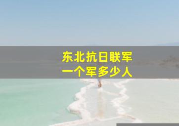 东北抗日联军一个军多少人