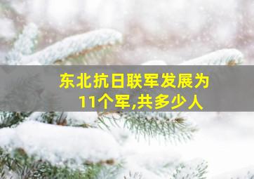 东北抗日联军发展为11个军,共多少人