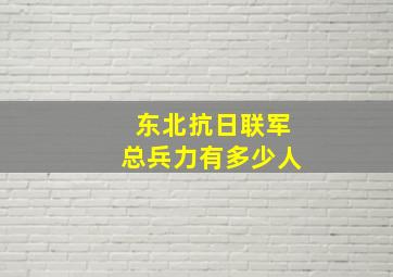 东北抗日联军总兵力有多少人