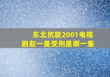 东北抗联2001电视剧赵一曼受刑是哪一集