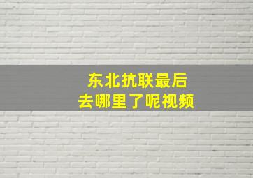 东北抗联最后去哪里了呢视频