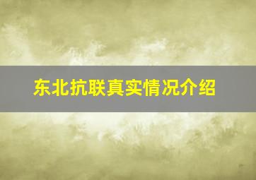 东北抗联真实情况介绍