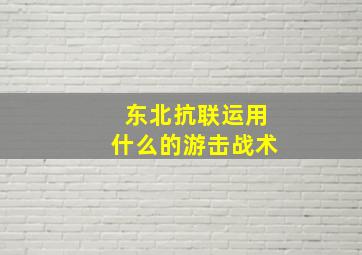 东北抗联运用什么的游击战术