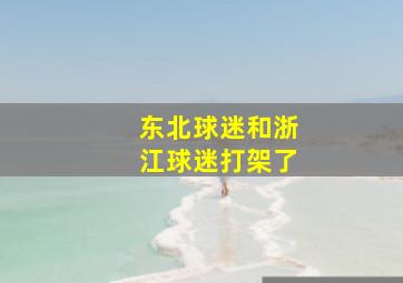 东北球迷和浙江球迷打架了