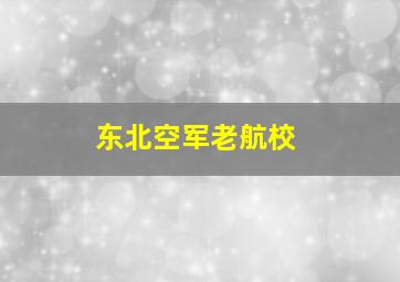 东北空军老航校