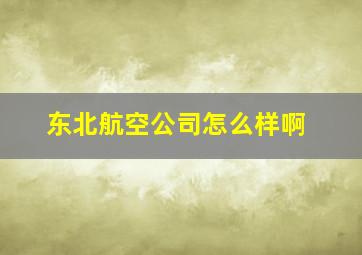 东北航空公司怎么样啊