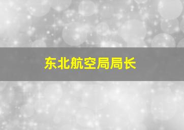 东北航空局局长