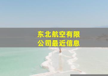 东北航空有限公司最近信息