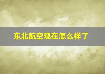 东北航空现在怎么样了