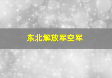 东北解放军空军