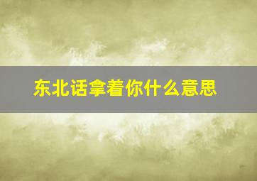 东北话拿着你什么意思