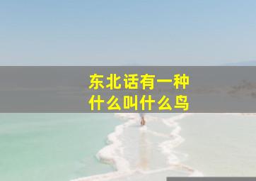 东北话有一种什么叫什么鸟