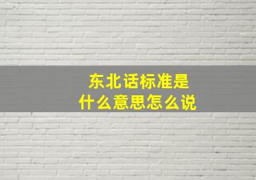 东北话标准是什么意思怎么说