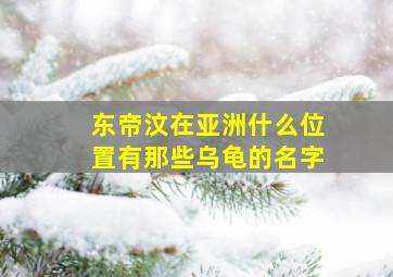 东帝汶在亚洲什么位置有那些乌龟的名字