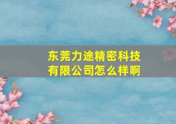 东莞力途精密科技有限公司怎么样啊