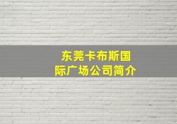 东莞卡布斯国际广场公司简介