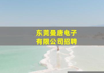 东莞曼唐电子有限公司招聘