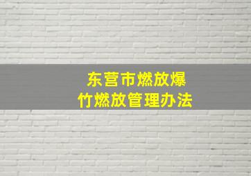 东营市燃放爆竹燃放管理办法