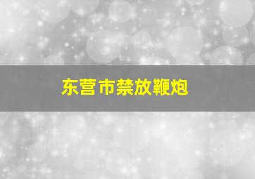 东营市禁放鞭炮