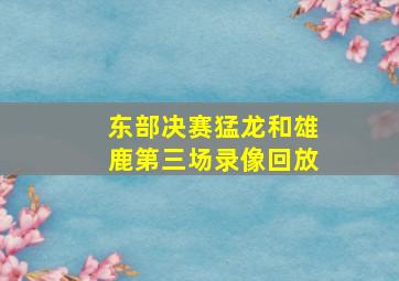 东部决赛猛龙和雄鹿第三场录像回放