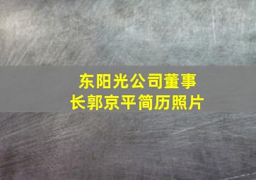 东阳光公司董事长郭京平简历照片