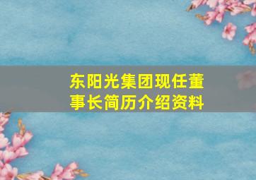 东阳光集团现任董事长简历介绍资料