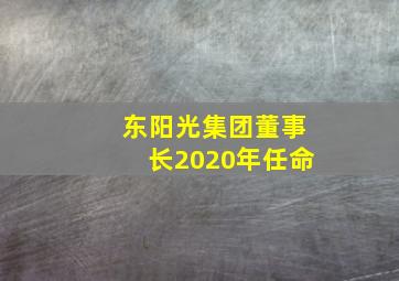 东阳光集团董事长2020年任命