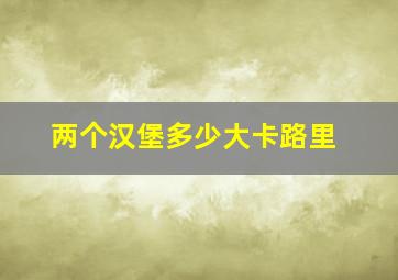 两个汉堡多少大卡路里