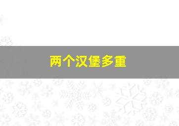 两个汉堡多重