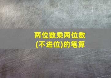 两位数乘两位数(不进位)的笔算