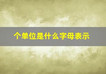 个单位是什么字母表示