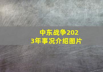 中东战争2023年事况介绍图片