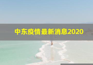 中东疫情最新消息2020