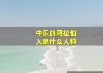 中东的阿拉伯人是什么人种