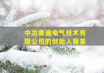 中冶赛迪电气技术有限公司的创始人背景