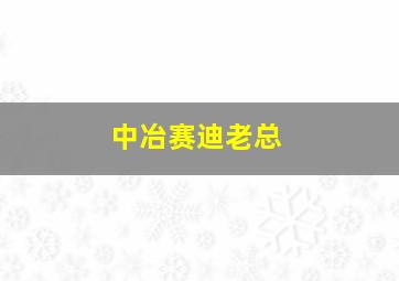 中冶赛迪老总