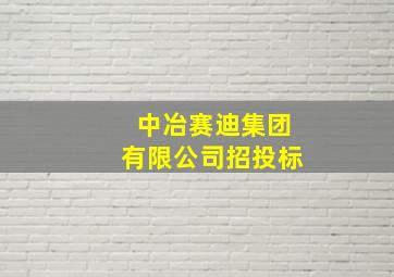 中冶赛迪集团有限公司招投标