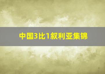 中国3比1叙利亚集锦