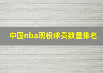 中国nba现役球员数量排名