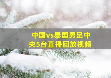 中国vs泰国男足中央5台直播回放视频