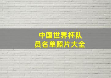 中国世界杯队员名单照片大全